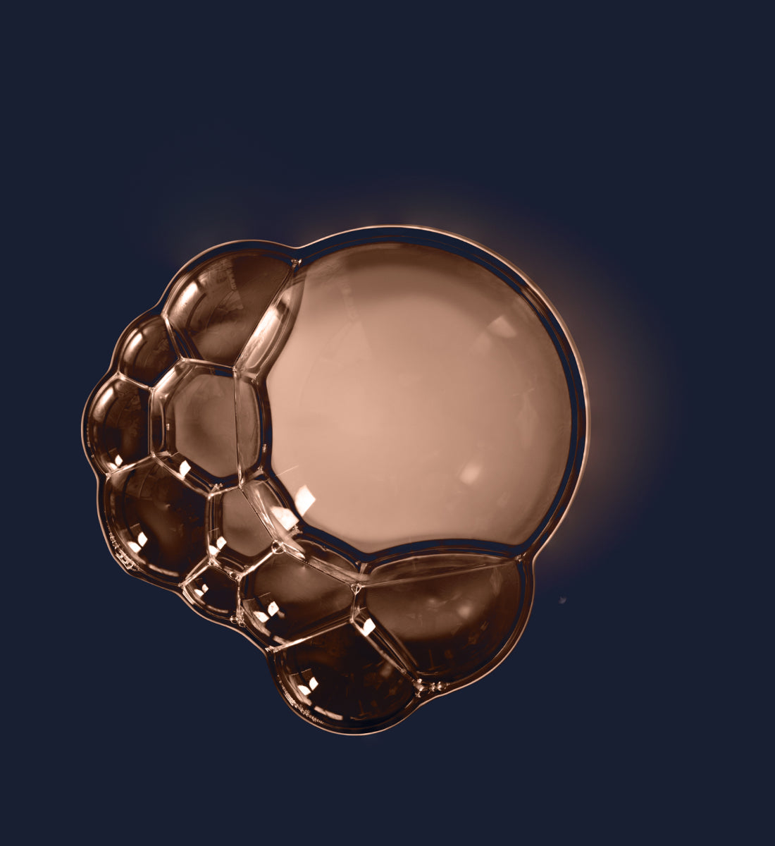 Biologique Recherche - Extraits Tissulaires 30ml